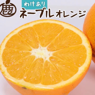 家庭用 ネーブルオレンジ2.5kg+250g(傷み補償分)【光センサー選別】【訳あり】