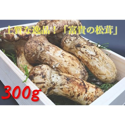 松茸　300g　【和歌山県産】香り高く希少な国産!