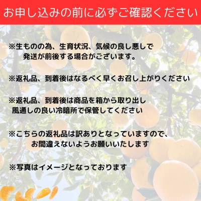 【訳あり】和歌山みかん 9.5kg+補償分500g　サイズ混合(3S～3L) 11月より順次発送