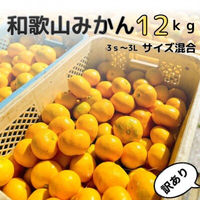 【訳あり】和歌山みかん 11kg+補償分1kg　サイズ混合(3S～3L) 11月より順次発送