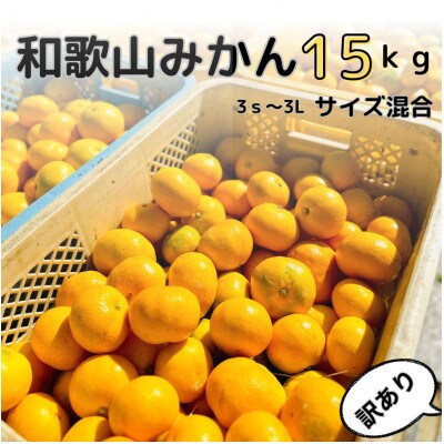 【訳あり】和歌山みかん 14kg+補償分1kg　サイズ混合(3S～3L) 11月より順次発送