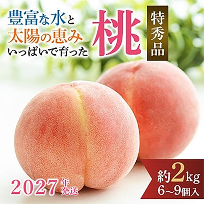 先行受付!　旬の桃　(特秀品)　約2kg　6～9個入