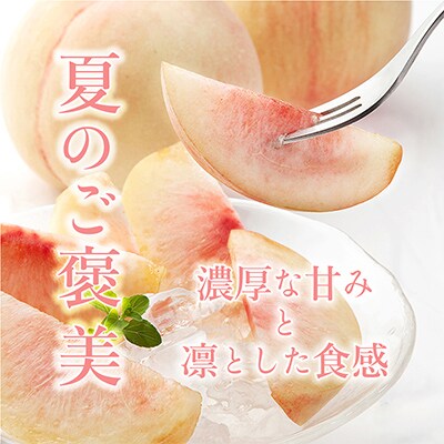 桃先行受付!　【川中島白桃】大玉特秀品　食べきりやすい3個入り　こだわり農家厳選!