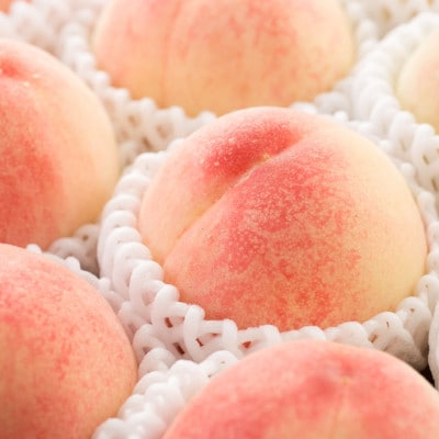 桃先行受付!　【川中島白桃】大玉特秀品　食べきりやすい3個入り　こだわり農家厳選!