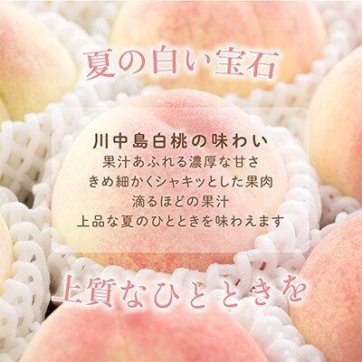 桃先行受付!　【川中島白桃】大玉特秀品　食べきりやすい3個入り　こだわり農家厳選!