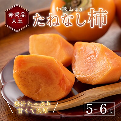 先行受付!　柿　種無し　赤秀品　超大玉　5～6個