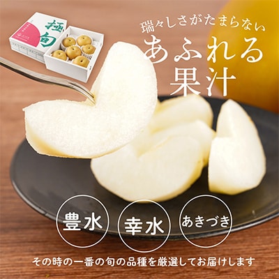 先行予約!　旬の梨　極上秀品(中玉～大玉)6～8個入り　2026年8月中旬頃から発送