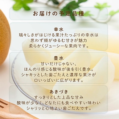 先行予約!　旬の梨　極上秀品(中玉～大玉)6～8個入り　2026年8月中旬頃から発送
