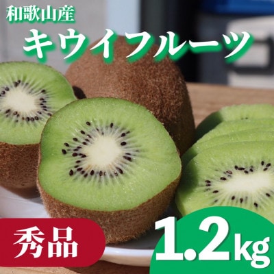 【まごころ手選別】和歌山産　キウイフルーツ　　1.2kg　秀品