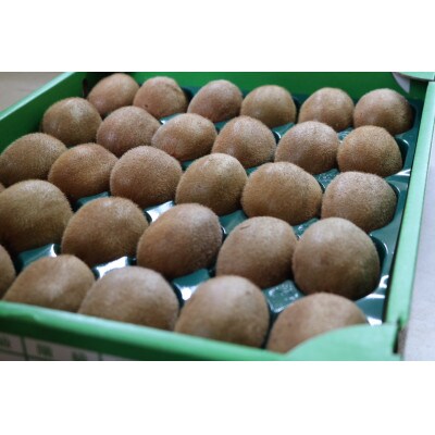 【まごころ手選別】和歌山産　キウイフルーツ　　1.2kg　秀品