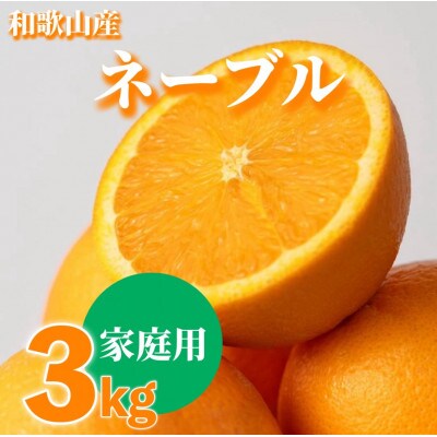 【2027年1月上旬より順次発送】和歌山県産　ネーブル　3kg家庭用(サイズ混合)【まごころ手選別】