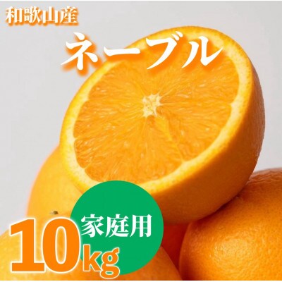 【2027年1月上旬より順次発送】和歌山県産ネーブル　10kg家庭用(サイズ混合)【まごころ手選別】