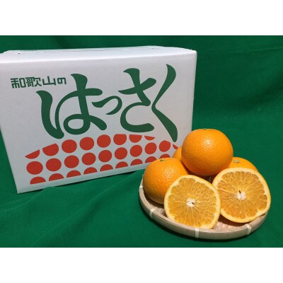 【2027年1月より順次発送】和歌山県産　八朔(はっさく)約10kg　Lサイズ【まごころ手選別】