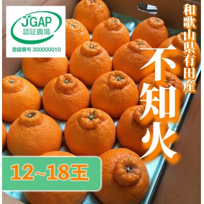 【2027年2月上旬より順次発送】和歌山産　不知火(デコポン)　秀品　(12玉～18玉)