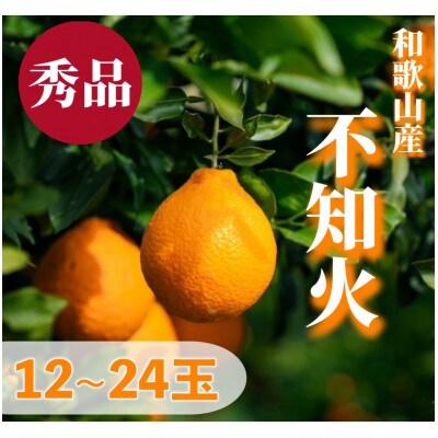 【2027年2月上旬より順次発送】和歌山産　不知火(デコポン)約5kg　秀品　(12玉～24玉)