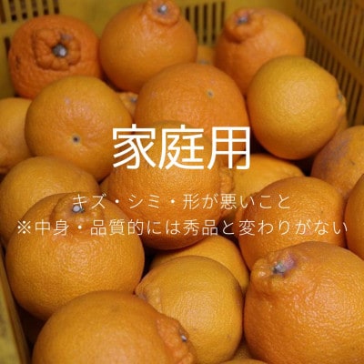 【2027年2月上旬順次発送】和歌山産　不知火(デコポン)6kg　家庭用　【まごころ手選別】