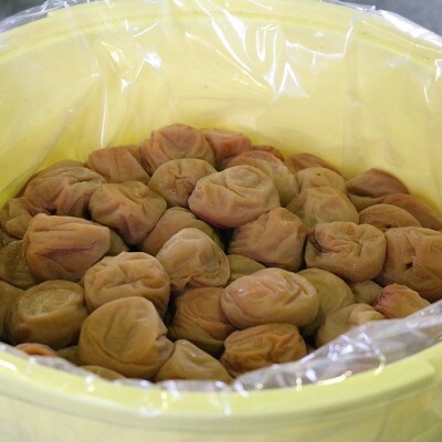 紀州南高梅　しそ風味梅干　1.2kg　ご家庭用