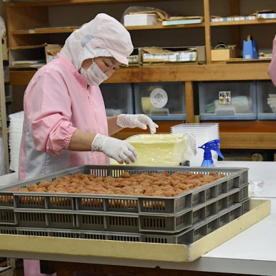 紀州南高梅　はちみつ入り味梅　1.2kg　ご家庭用