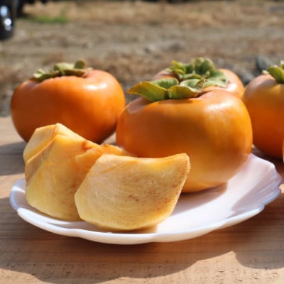 和歌山県産　柿　2.5kg