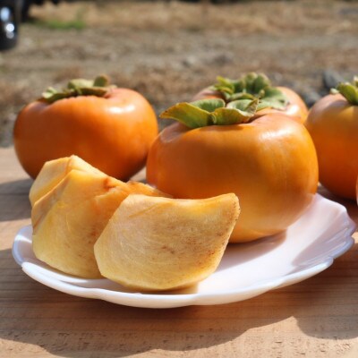 和歌山県産　柿　5kg