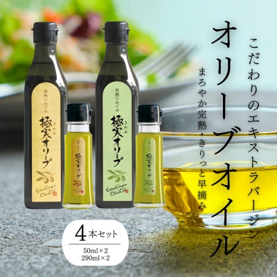 【創業180余年】シマムラ エキストラバージンオリーブオイル 堪能セット