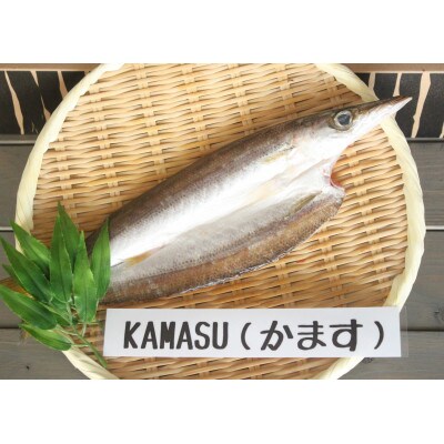 紀州備長炭干しかます5枚