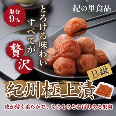紀州極上漬　1.8kg　並品