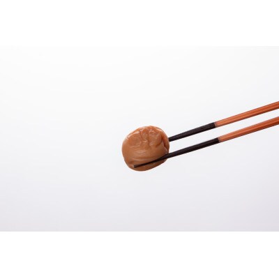 梅ばーもん　1.7kg　並品