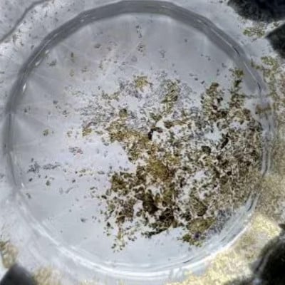 ウィスキーグラス　古代塗り金箔純白