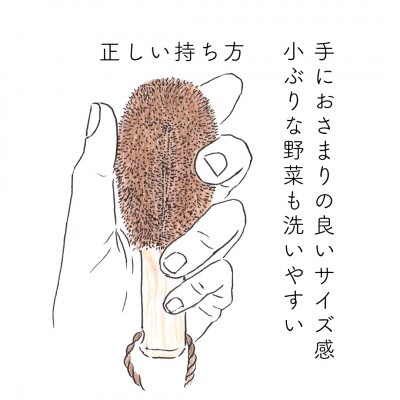 高田耕造商店　しゅろのやさしいたわし　野菜洗い用