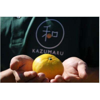 【2026年2月より順次発送】森本農園の濃厚完熟清見オレンジ　贈答用　5kg