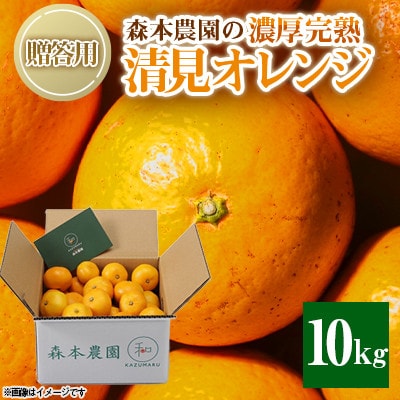 【2026年2月より順次発送】森本農園の濃厚完熟清見オレンジ　贈答用　10kg