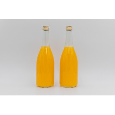 森本農園の100%清見ジュース　720ml×2本入り　贈答用