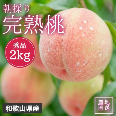 【2026年7月より順次発送】森本農園の桃　贈答用　2kg