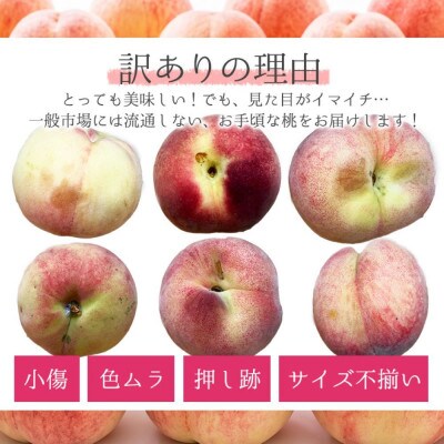 【2026年7月より順次発送】森本農園の桃　訳あり　4kg