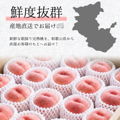【2026年7月より順次発送】森本農園の桃　訳あり　4kg
