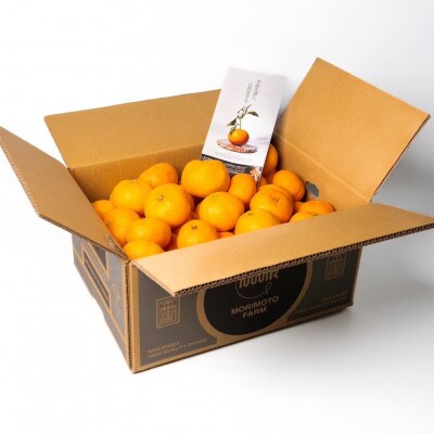 【発送月固定定期便】家庭用みかん定期便　1.5kg　10月～1月まで期間限定全4回