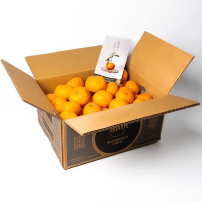 【発送月固定定期便】訳ありみかん定期便　2kg　10月～1月まで期間限定全4回