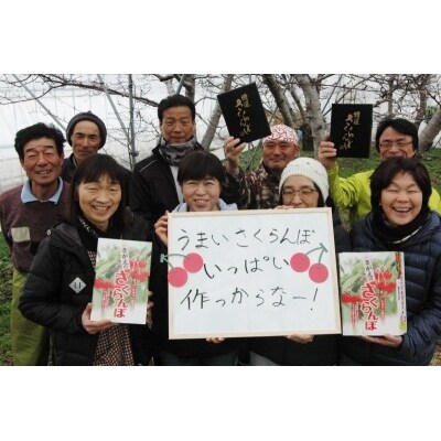 愛情たっぷりさくらんぼ1kg 「佐藤錦」 秀品 Lサイズ以上! 015-A03