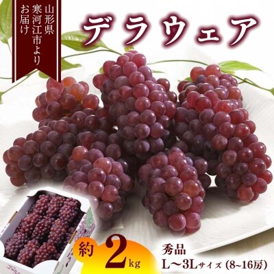 ぶどう「デラウェア」約2kg(8〜16房)秀品 山形県産 2022年産 010-B14 ...