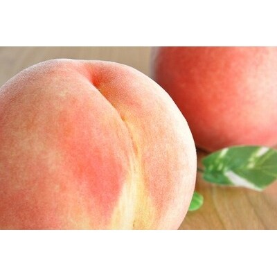 山形の白桃 <熟すとやわらかくなる品種> 3kg 品種おまかせ (8~14玉) 秀品 010-B39