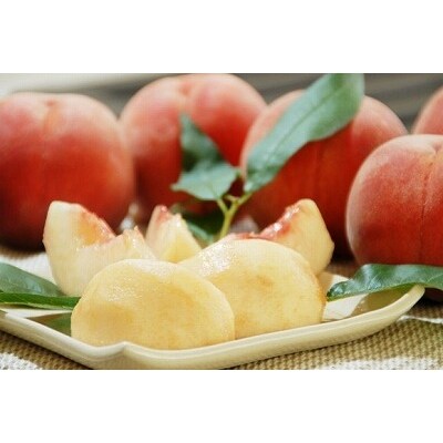 山形の白桃 <熟すとやわらかくなる品種> 3kg 品種おまかせ (8~14玉) 秀品 010-B39