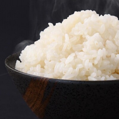 計40kg! お米定期便【12月上旬・2月上旬 20kg×2回お届け】2019年産山形産はえぬき