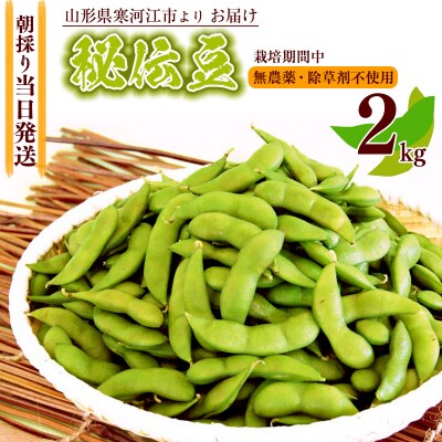 《クール便》新鮮!枝豆「秘伝豆」 2kg 山形県産 2022年産 010-B44