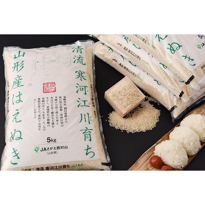 計60kg! 2020年産お米定期便【11月・1月・3月 20kg×3回 下旬コース】山形産はえぬき