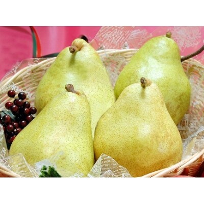 【果物王国 山形】さがえ産フルーツ5か月定期便 ~至福のフルーツセット~ <糖度保証付き入り>