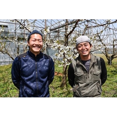 <朝採り新鮮> ★県品評会優秀賞★ 実力派農家のさくらんぼ「佐藤錦」 700g 【高級 特秀品】