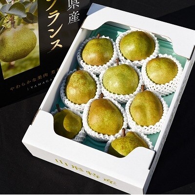 【果物王国 山形】たっぷり8回! 贅沢さがえ産 高級フルーツ8回定期便 ~華~ 100-B05
