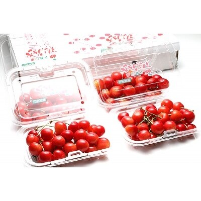 【緊急支援品】さくらんぼ「佐藤錦」800g(200g×4パック) 秀品 Lサイズ以上! フードパック