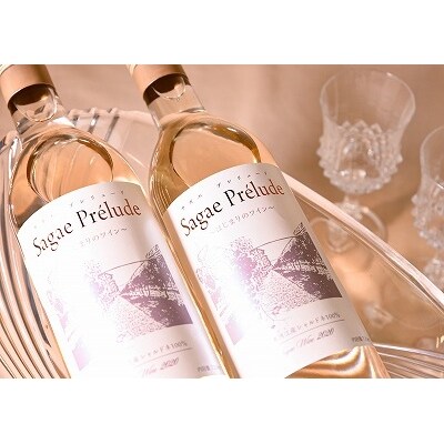 ぶどう農家救済 ワイン5か月定期便 サガエ プレリュード シャルドネ白 辛口 4月 8月 E02 お礼品詳細 ふるさと納税なら さとふる